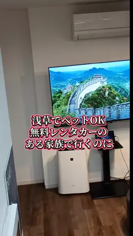 トトロのTikTok投稿