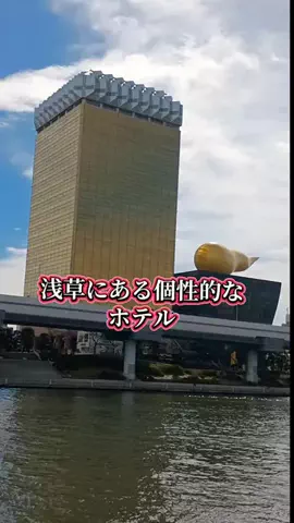トトロのTikTok投稿