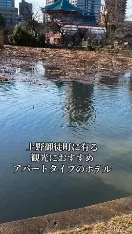 トトロのTikTok投稿