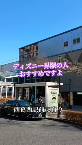 トトロのTikTok投稿