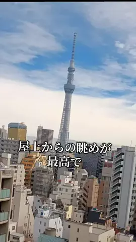 トトロのTikTok投稿
