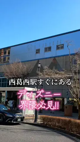 トトロのTikTok投稿