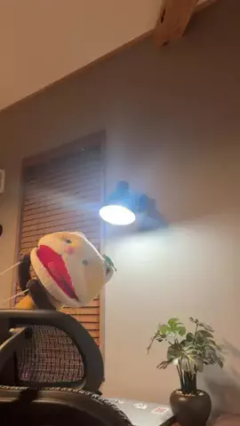 防災まぐおのTikTok投稿