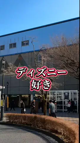 トトロのTikTok投稿