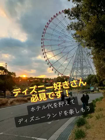 トトロのTikTok投稿