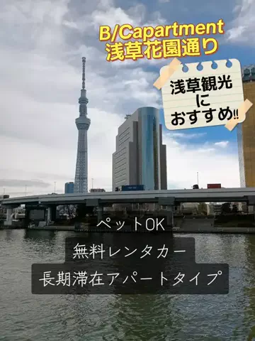 トトロのTikTok投稿