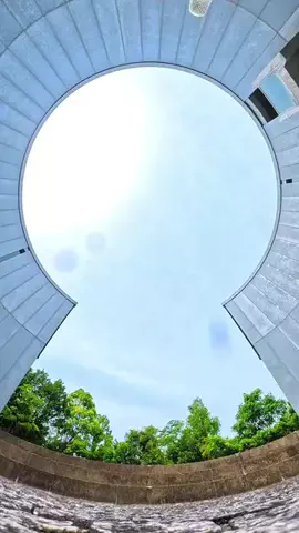 わら旅夫婦のTikTok投稿