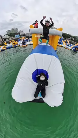 わら旅夫婦のTikTok投稿