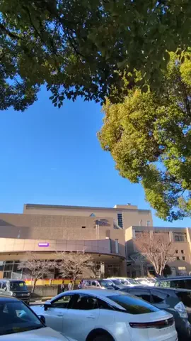 トアンもん　チャンネルのTikTok投稿