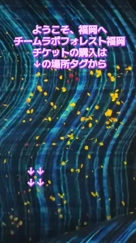 トアンもん　チャンネルのTikTok投稿