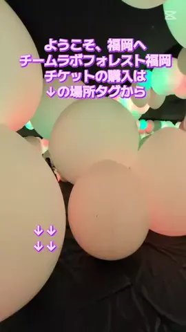 トアンもん　チャンネルのTikTok投稿