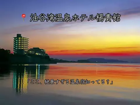 ❤️‍🔥❤️‍🔥🐶🐾のTikTok投稿