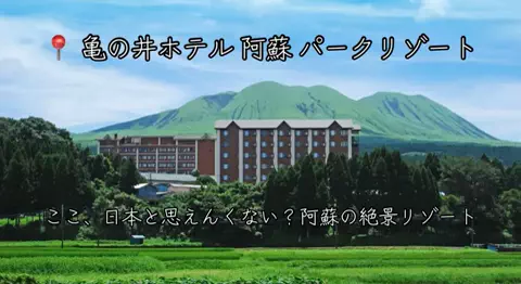 ❤️‍🔥❤️‍🔥🐶🐾のTikTok投稿