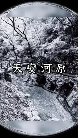 ぴーち まいけるのTikTok投稿