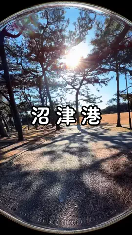 ぴーち まいけるのTikTok投稿