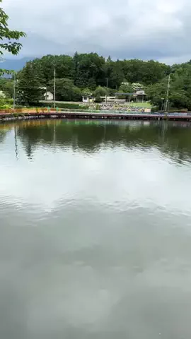 おとけしきのTikTok投稿