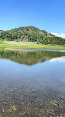 おとけしきのTikTok投稿