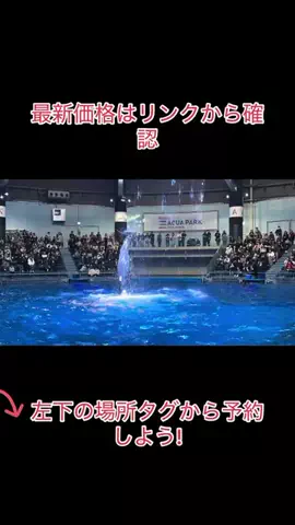 Game TikTok JapanのTikTok投稿