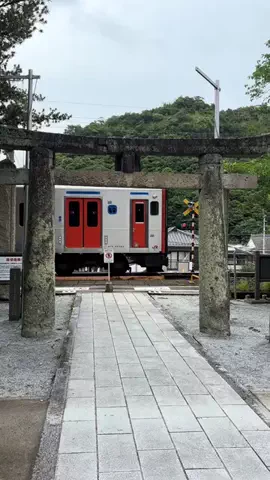 おとけしきのTikTok投稿