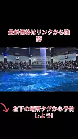 Game TikTok JapanのTikTok投稿