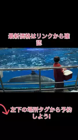 Game TikTok JapanのTikTok投稿