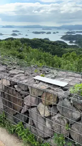 おとけしきのTikTok投稿