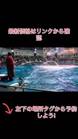 Game TikTok JapanのTikTok投稿