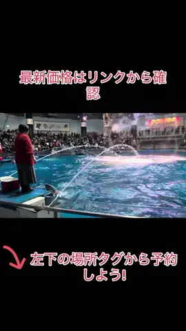 Game TikTok JapanのTikTok投稿