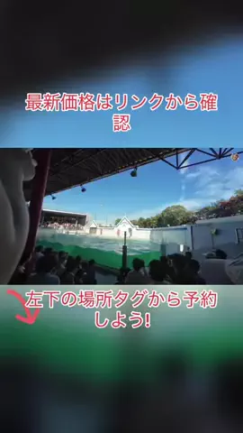 Game TikTok JapanのTikTok投稿