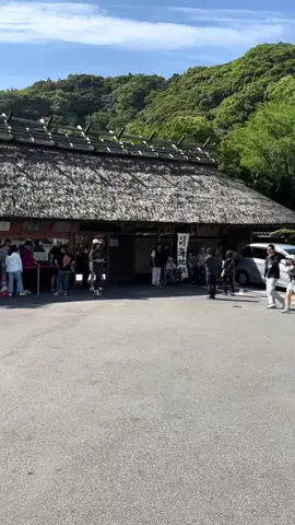 おとけしきのTikTok投稿