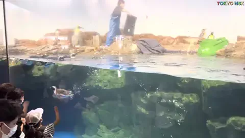 Game TikTok JapanのTikTok投稿