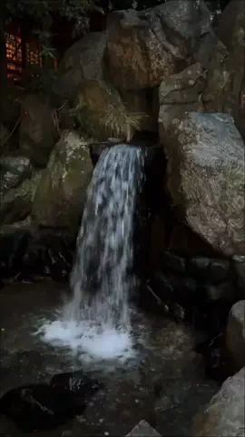 とある気まぐれトラベラー🐉のTikTok投稿