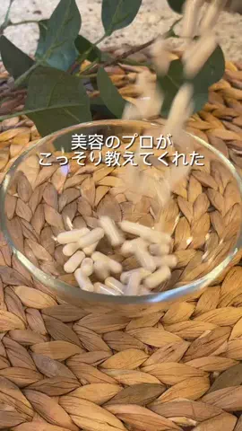 さち コスパ最高のおすすめのTikTok投稿