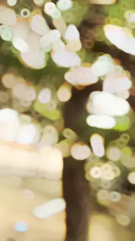 とある気まぐれトラベラー🐉のTikTok投稿