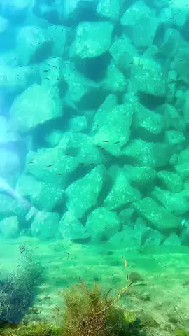 とある気まぐれトラベラー🐉のTikTok投稿