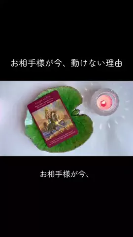 スピリットハーモニーのTikTok投稿