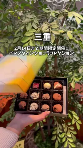 まつこ🍵地元民による三重観光やスポット紹介のTikTok投稿