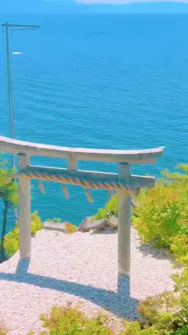 とある気まぐれトラベラー🐉のTikTok投稿