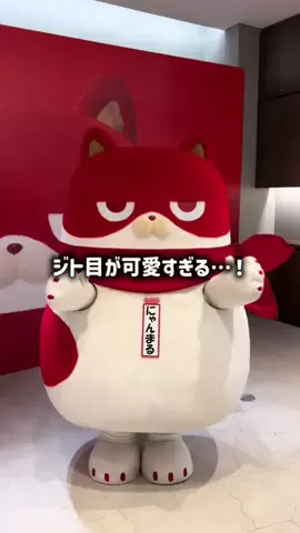 たべっ子太郎のTikTok投稿
