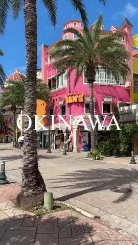 沖縄からあなたへのTikTok投稿