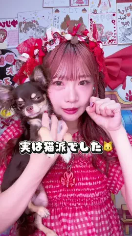 ゆりぴ〜🐶🐾のTikTok投稿