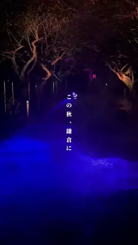 miki__travelerのTikTok投稿