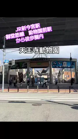 ☘️えりんこ☘️👽のTikTok投稿