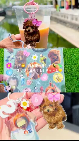 なつ君のちびログのTikTok投稿