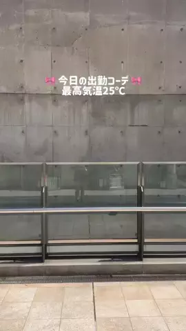 かりんのTikTok投稿
