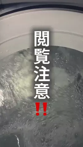 ちゃちゃ| ３兄弟と戦うズボラ母のTikTok投稿