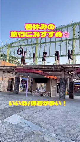 とりちゃんの、日常のTikTok投稿