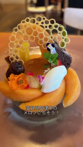 グルメ大佐のTikTok投稿