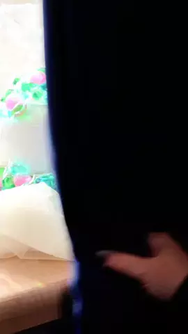 とりちゃんの、日常のTikTok投稿