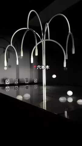 RioのTikTok投稿